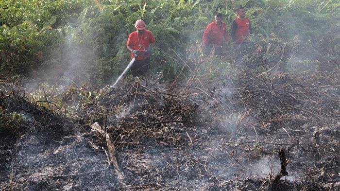 Dumai dan Bengkalis menyumbang hotspot terbanyak di Riau (foto/int)